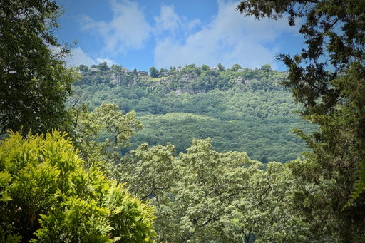 Media Image 3