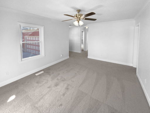 Media Image 3