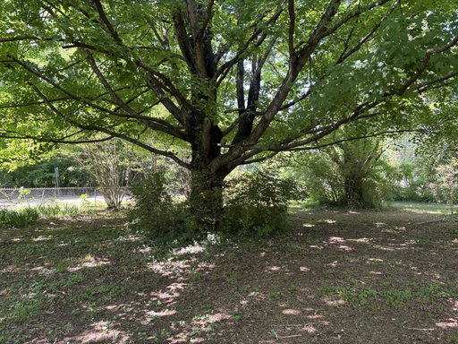 Media Image 3