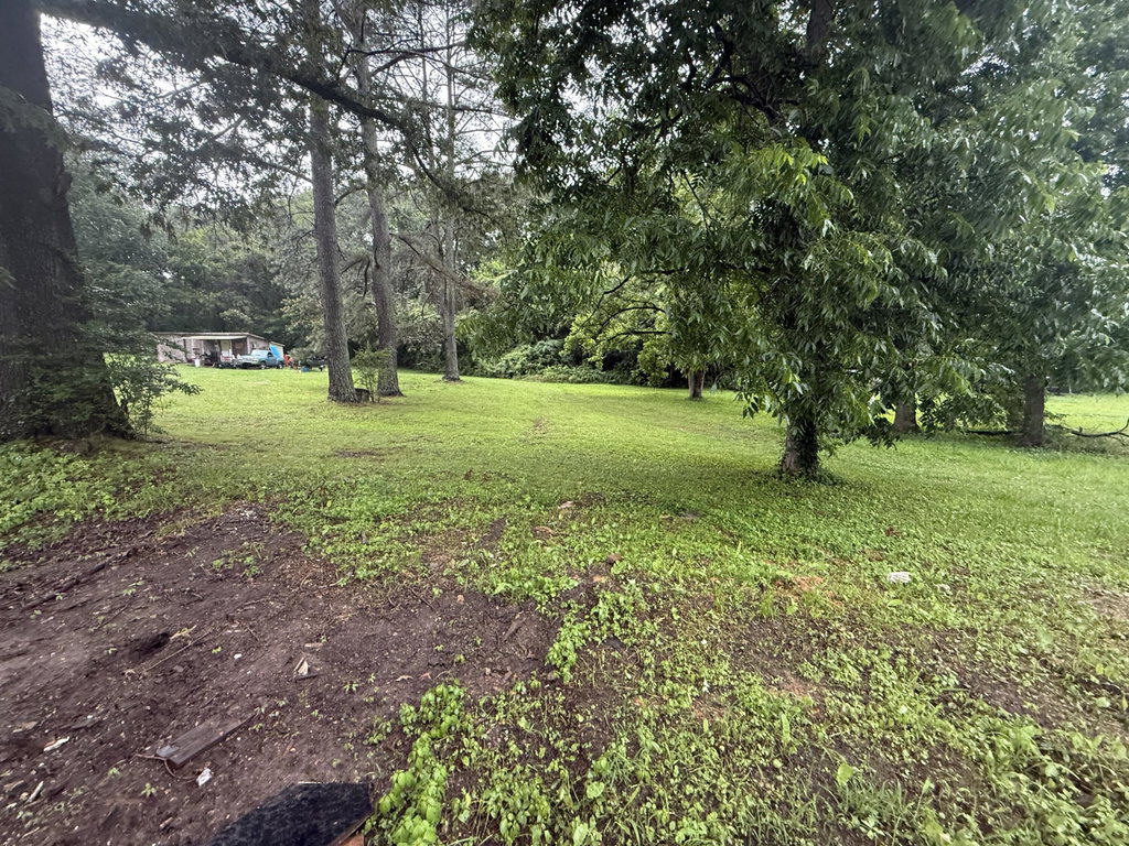 Image Unavailable