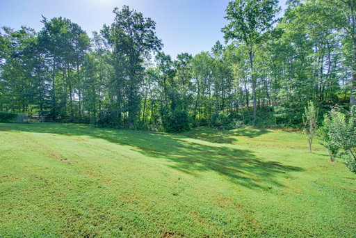 Media Image 3