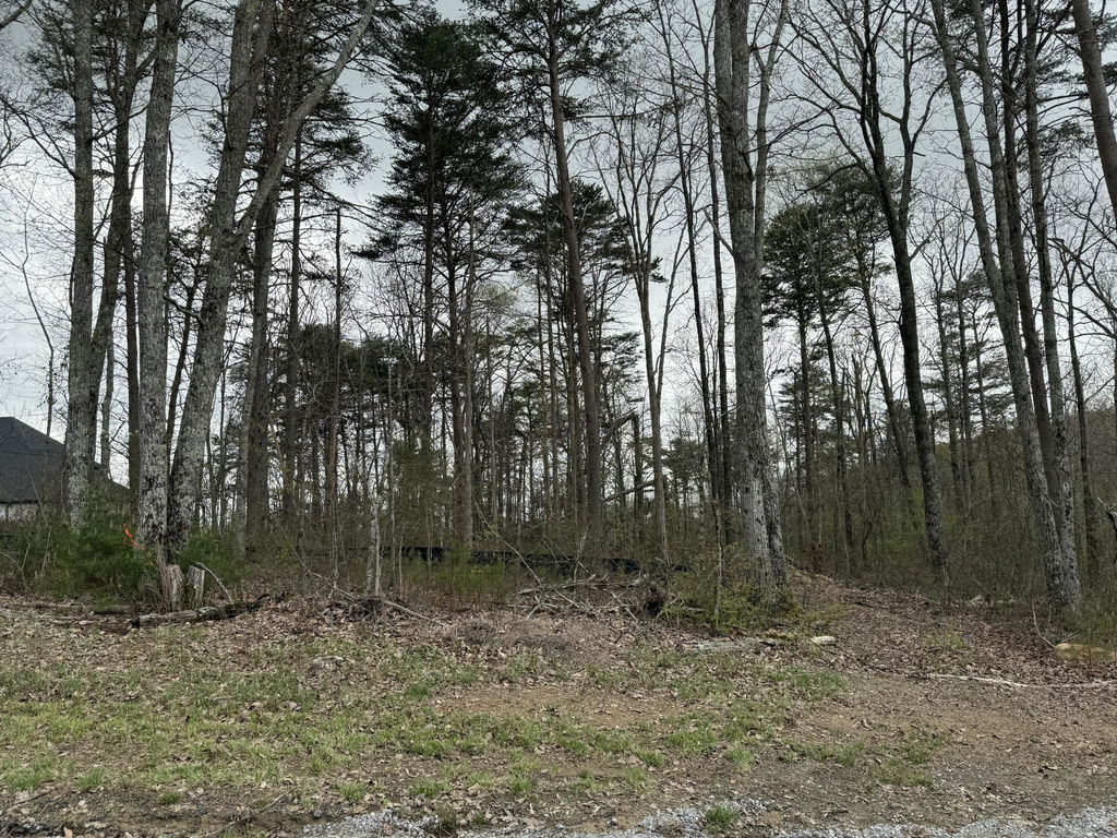 Image Unavailable