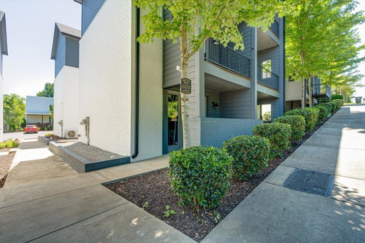 Media Image 3