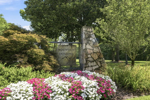 Media Image 3