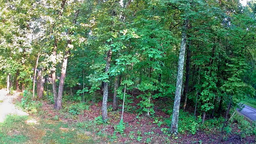 Image Unavailable