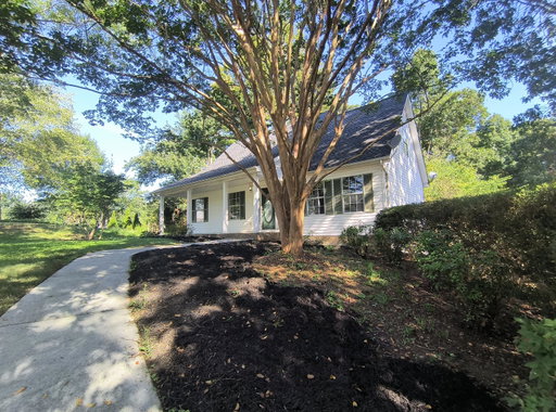Media Image 2