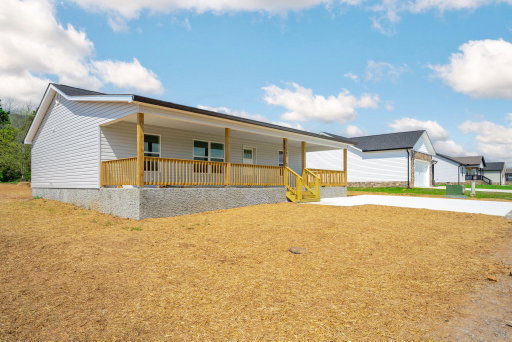 Media Image 3