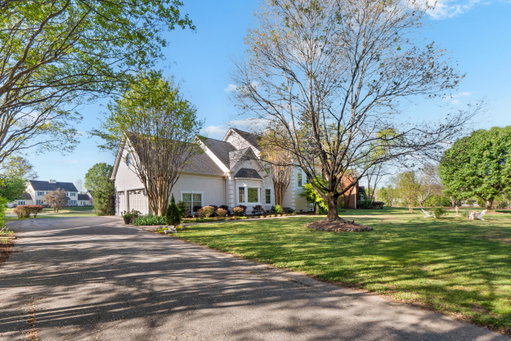 Media Image 2