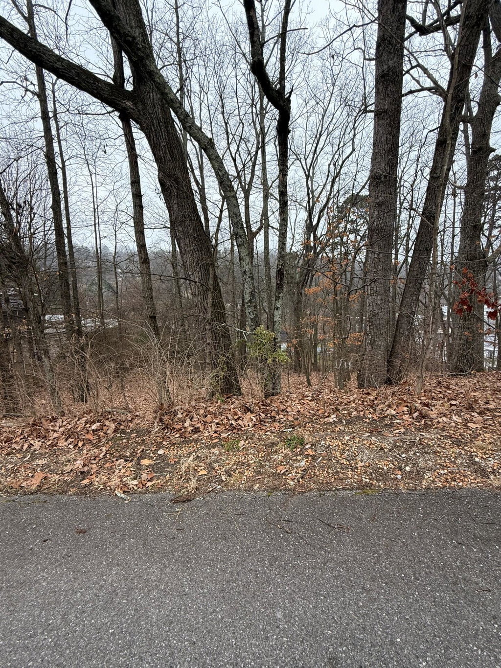 Image Unavailable