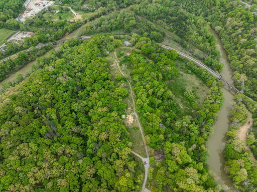 Media Image 3