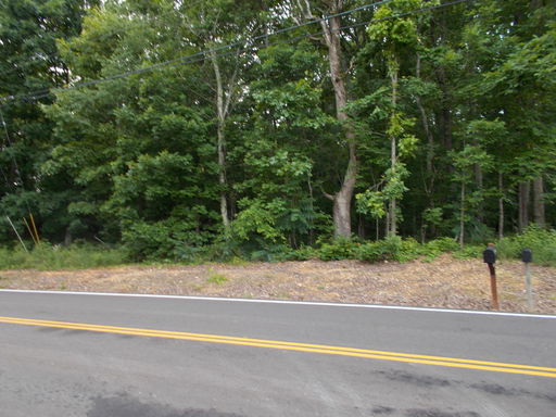Media Image 3