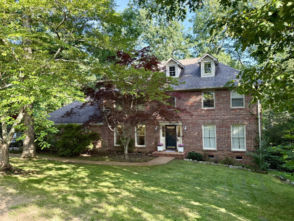 Media Image 1
