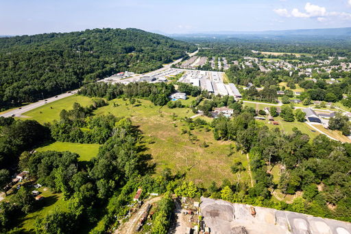 Media Image 3