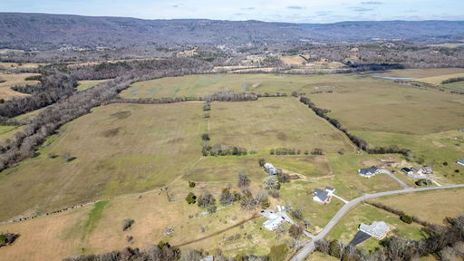 Media Image 3