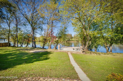 Media Image 3