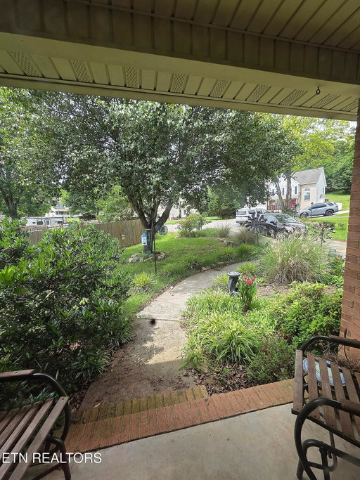 Media Image 3