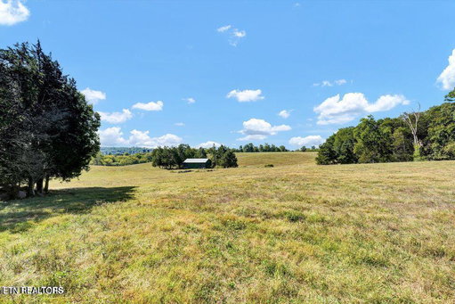 Media Image 2
