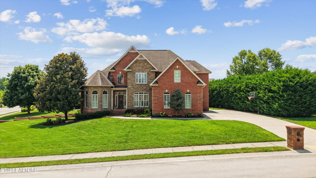 Media Image 1