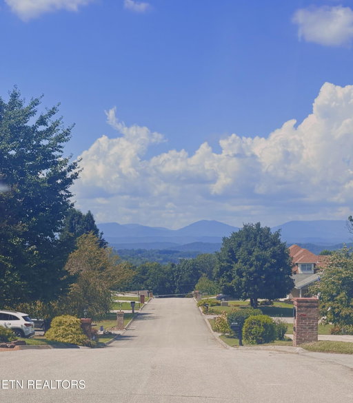 Media Image 3