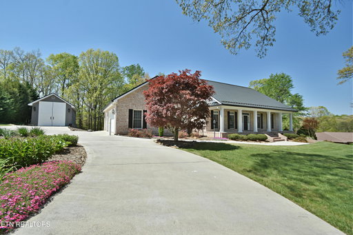 Media Image 2