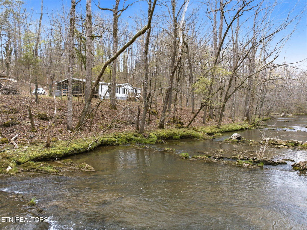 Media Image 1