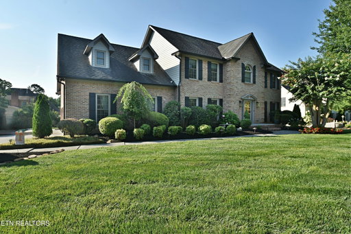 Media Image 3