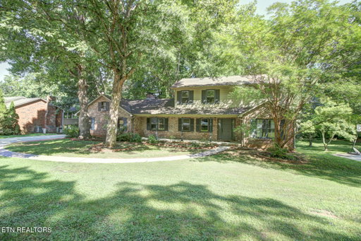 Media Image 3