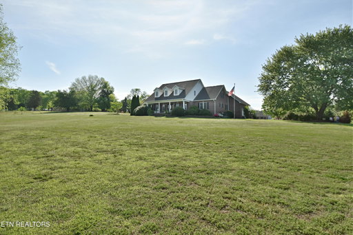 Media Image 3