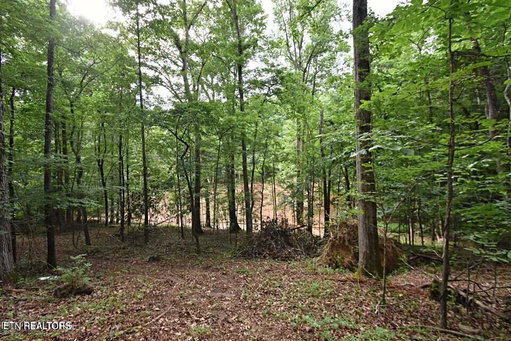 Media Image 3