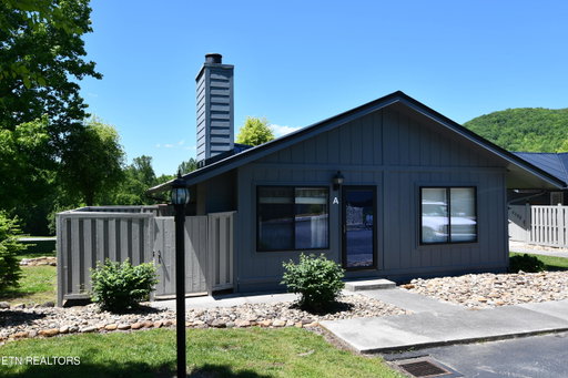 Media Image 2