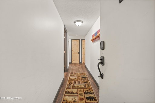 Media Image 3