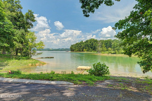 Media Image 3
