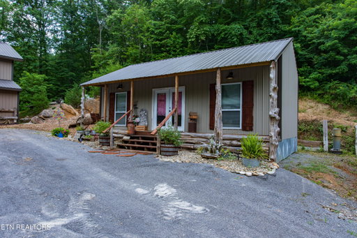 Media Image 3