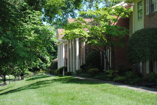 Media Image 2