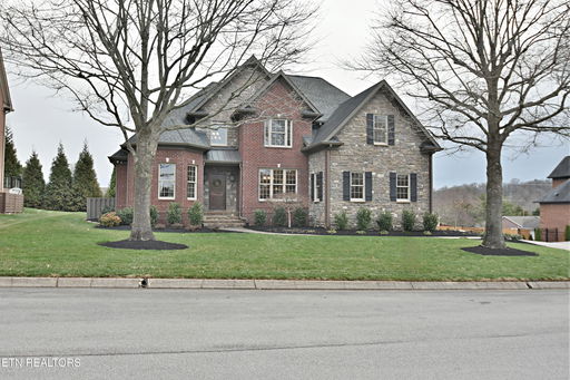 Media Image 3