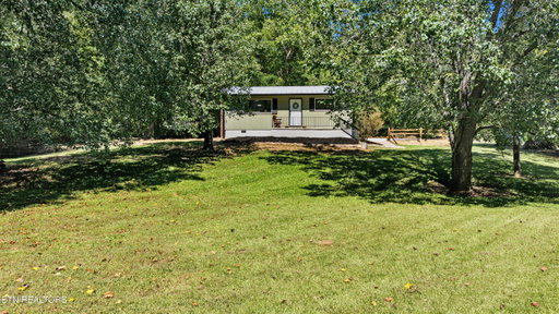 Media Image 3