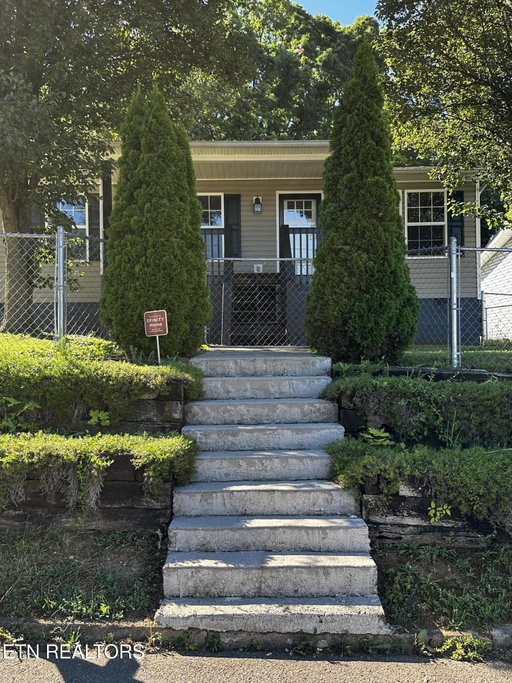 Media Image 3