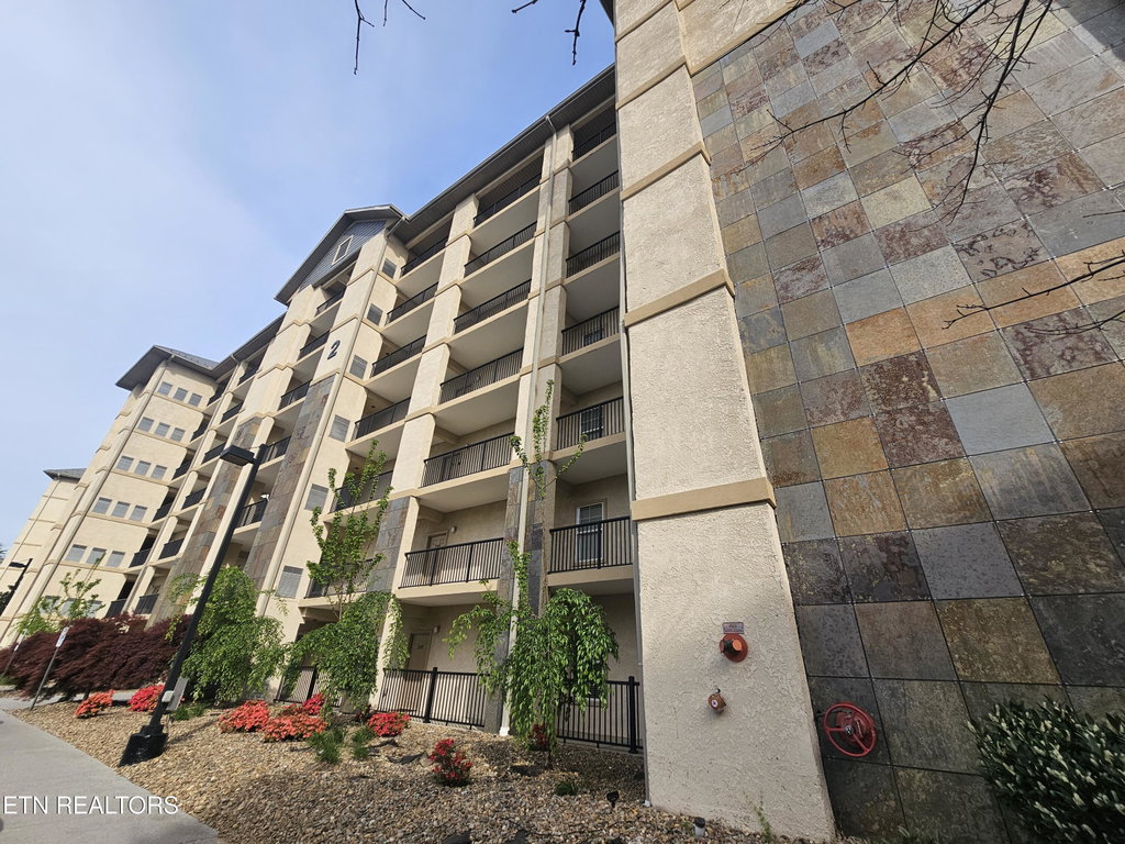 Media Image 1