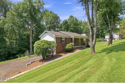 Media Image 2