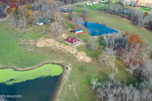 Media Image 3