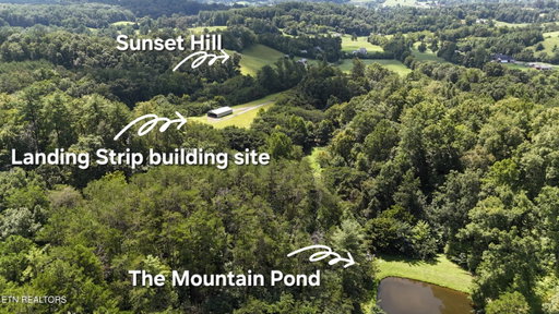 Media Image 2