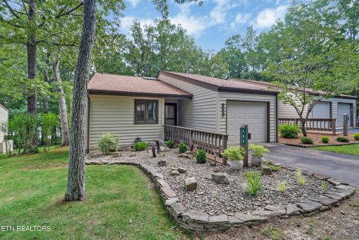 Media Image 3