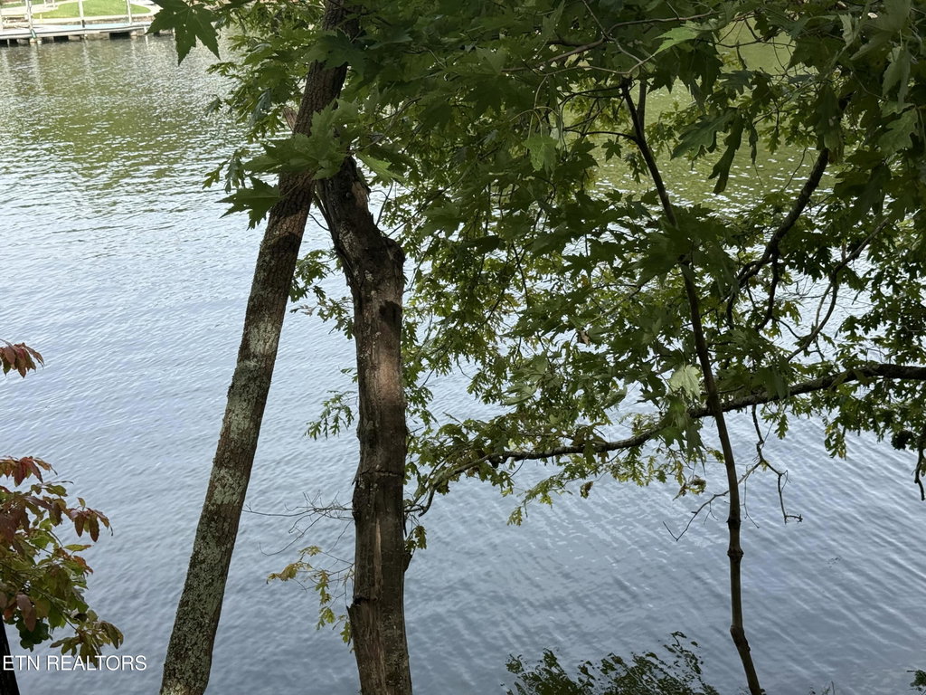 Image Unavailable