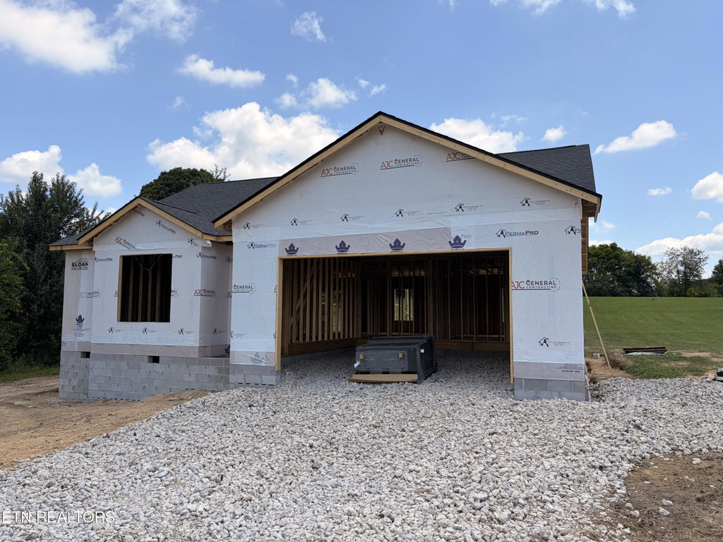 Media Image 1