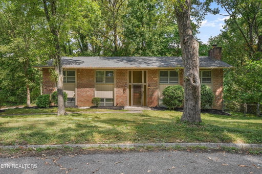 Media Image 3