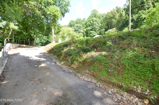 Media Image 3