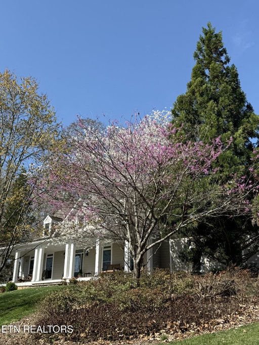 Media Image 2