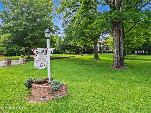 Media Image 3