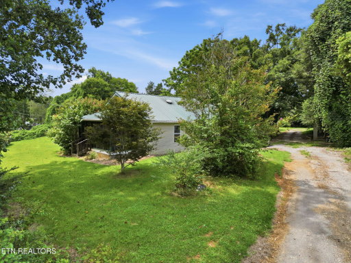 Media Image 3