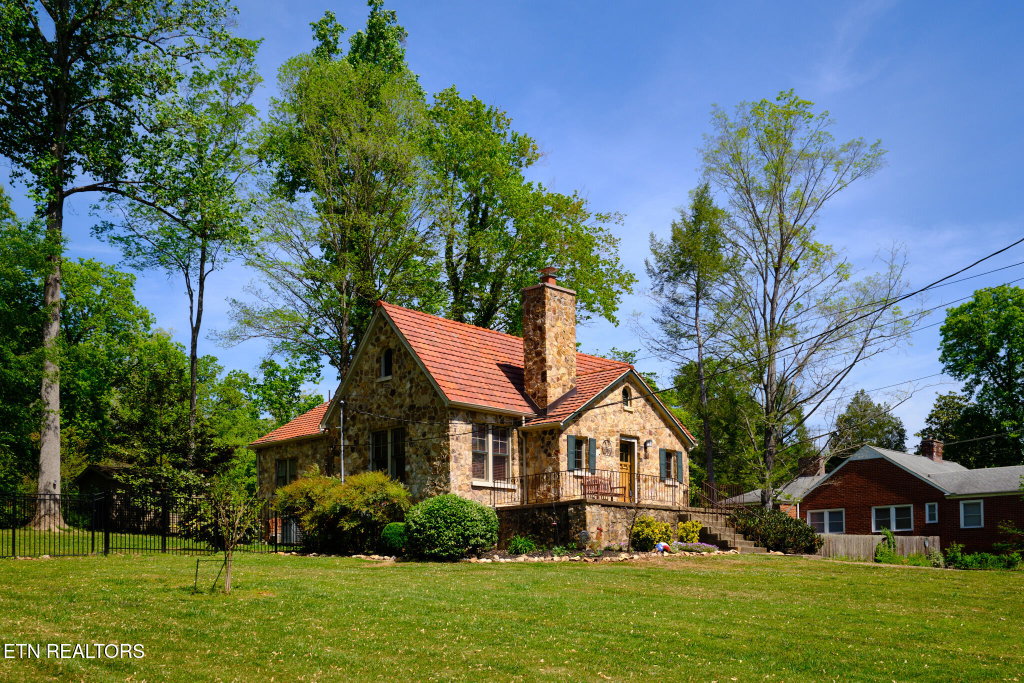 Media Image 1